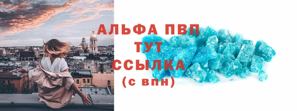 прущие грибы Бронницы