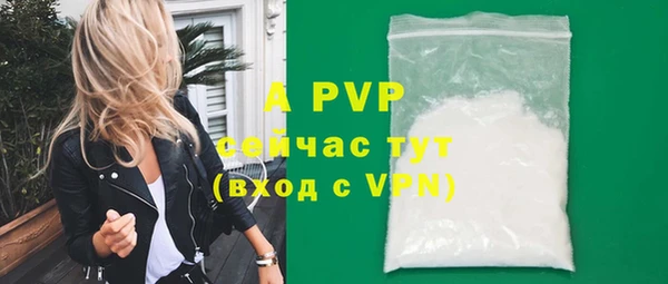 прущие грибы Бронницы