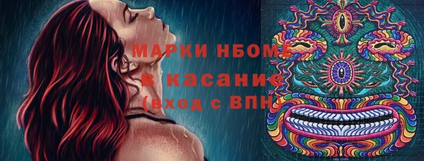 прущие грибы Бронницы