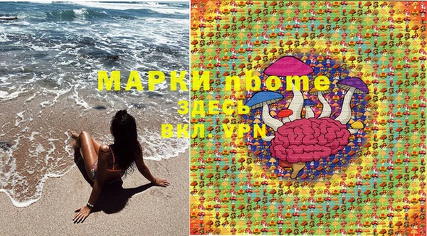прущие грибы Бронницы