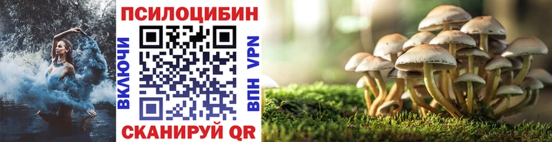 Псилоцибиновые грибы прущие грибы  Купить  Полысаево 
